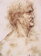 Profile one with book leaves gekroten of old man, LEONARDO da Vinci